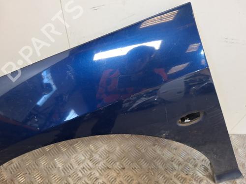 Left front fenders PEUGEOT 407 (6D_) 2.0 HDi 135 (6DRHRH, 6DRHRE, 6DRHRG, 6DRHRJ) | BP30109905C41