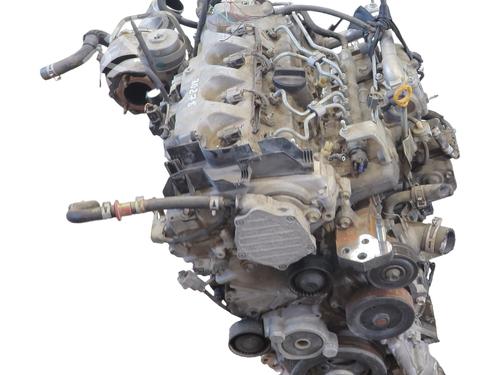Used Engine Engine 38081531 38081531