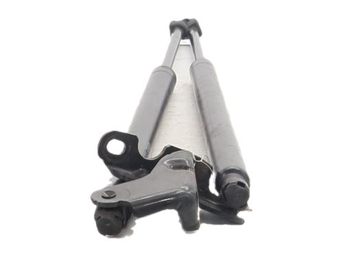 tailgate-lift-support-citroen-c4-grand-picasso-ii-da_-de_-2013-38033561 main image