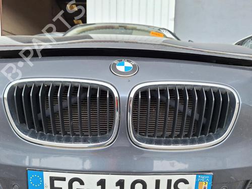 Used Grille BMW 1 (F20) 120 d (184 hp) 26455878