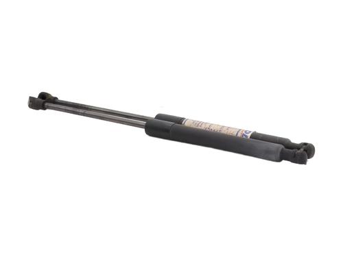 hood-lift-support-renault-kangoo-express-fw01_-2008-34531646 main image