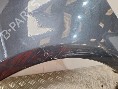 Left front fenders FORD C-MAX (DM2) 1.6 TDCi | BP32309405C41