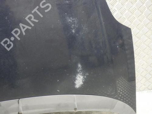 Hood FIAT GRANDE PUNTO (199_) 1.2 | BP29315890C1 