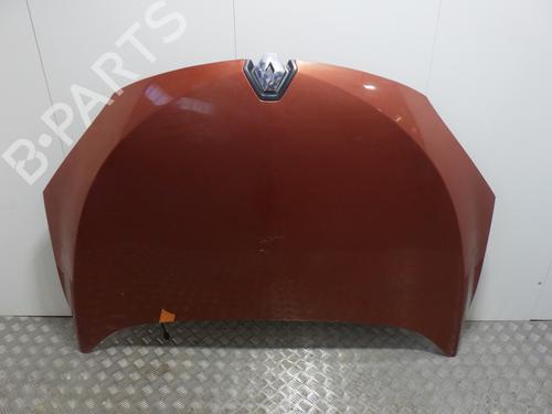 Hood RENAULT MEGANE III Coupe (DZ0/1_) 2.0 TCe (DZ0K) | BP29864487C1