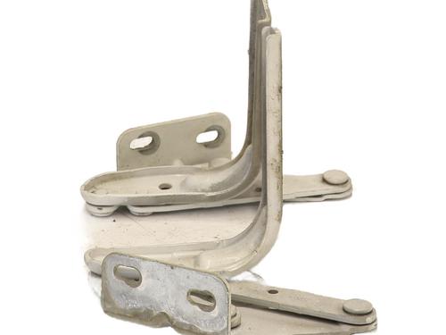 Hinge/Door check strap RENAULT TRUCKS MASCOTT Van 120.35 (A02100003) | BP27587706C146