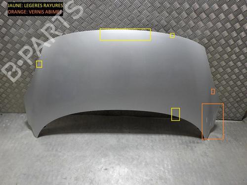 Used Hood RENAULT SCÉNIC III (JZ0/1_) 1.5 dCi (110 hp) 24257638