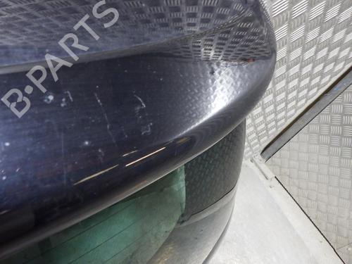 Used Tailgate Tailgate DS DS 3 (SA_) 1.2 THP 110 / PureTech 110 (SAHNPS, SAHNZ6, SAHNZT) (110 hp) 24254910 24254910