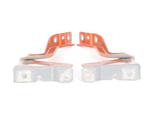 Hinge/Door check strap RENAULT CLIO V (B7_) 1.0 TCe 90 (B7MT) | BP29571015C146 