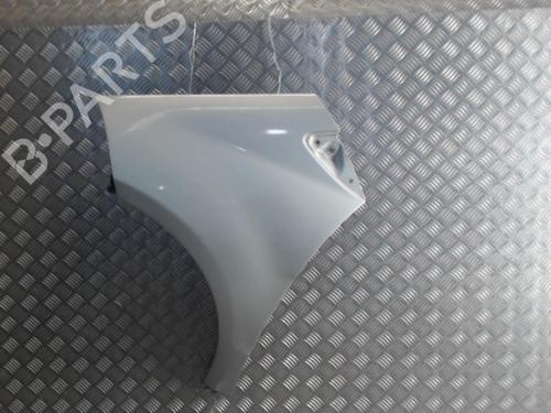 Left front fenders MERCEDES-BENZ A-CLASS (W169) A 180 CDI (169.007, 169.307) | BP24255832C41 