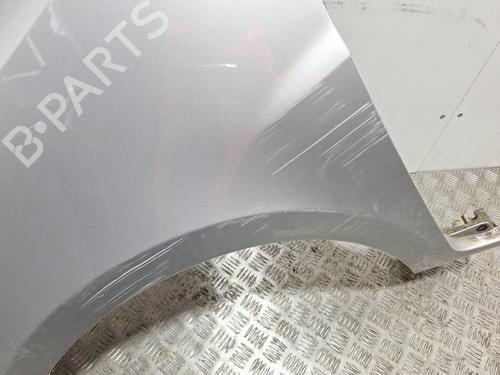 Left front fenders RENAULT CLIO III (BR0/1, CR0/1) 1.5 dCi (BR17, CR17) | BP29847922C41