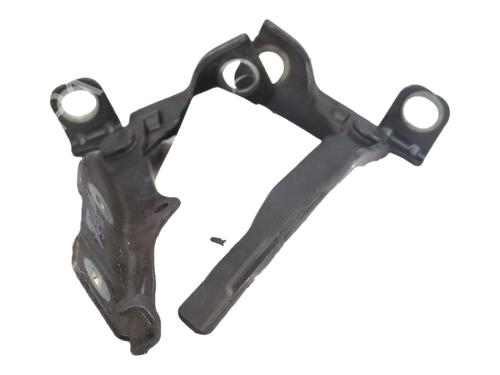 hingedoor-check-strap-citroen-c3-ii-sc_-2009-40254458 main image