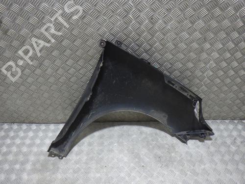 Left front fenders RENAULT SCÉNIC III (JZ0/1_) 1.9 dCi (JZ0J, JZ1J, JZ1K, JZ1S) | BP25442016C41 