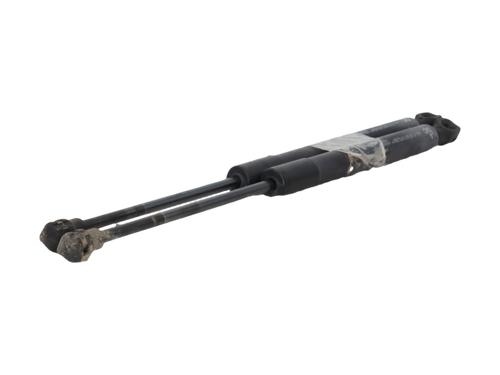 Used Hood lift support Hood lift support RENAULT KANGOO Express (FW0/1_) [2008-2026] 36555875 36555875