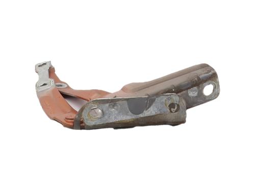 hingedoor-check-strap-dacia-sandero-ii-2012-40055864 main image