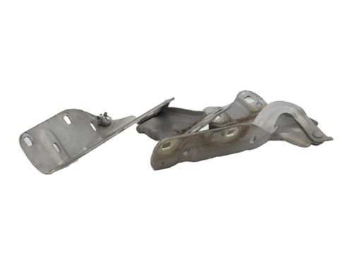hingedoor-check-strap-renault-twingo-ii-cn0_-2007-31806216 main image