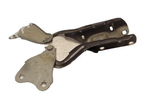 Hinge/Door check strap RENAULT TWINGO II (CN0_) 1.2 16V (CN04, CN0B) | BP28322992C146 
