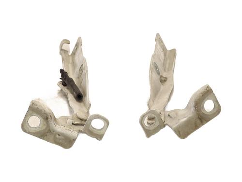 hingedoor-check-strap-citroen-c3-ii-sc_-2009-28476264 main image