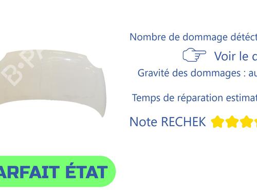 Used Hood Hood FIAT 500 (312_) 1.3 D Multijet (312AXE1A) (95 hp) 39938487 39938487