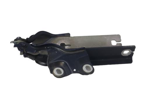 Used Hinge/Door check strap AUDI A3 Sportback (8YA, 8YF) 35 TFSI Mild Hybrid (150 hp) 31313959