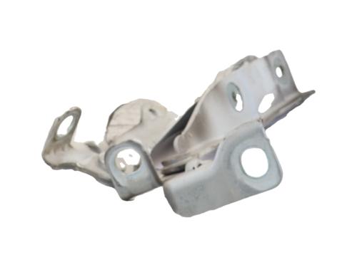 hingedoor-check-strap-citroen-c3-ii-sc_-2009-40026553 main image