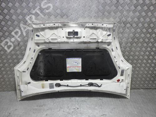 Hood FIAT DOBLO Cargo (263_) 1.6 D Multijet (263WXD1B, 263WXR1B, 263WXX1B, 263ZXD1B,... | BP24256930C1 