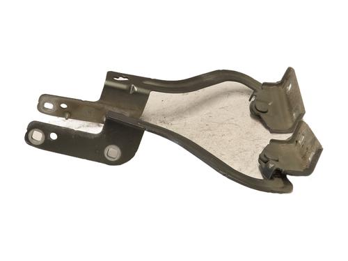 Hinge/Door check strap RENAULT MODUS / GRAND MODUS (F/JP0_) 1.5 dCi (FP0D, JP0D) | BP28292527C146 