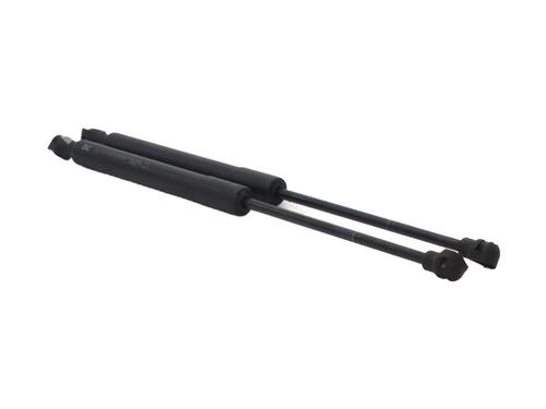 hood-lift-support-renault-kangoo-express-fw01_-2008-32749454 main image
