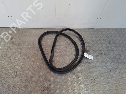 guarnizione-porta-renault-megane-iv-hatchback-b9amn_-2015-34571713 main image