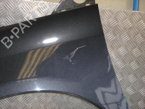 Left front fenders PEUGEOT 807 (EB_) 2.0 HDI | BP24255058C41 