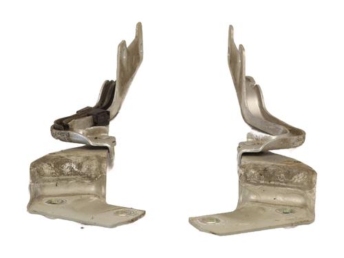 Hinge/Door check strap RENAULT CLIO III (BR0/1, CR0/1) 1.4 16V | BP27997287C146 