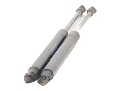 tailgate-lift-support-fiat-panda-312_-319_-2012-32142547 main image