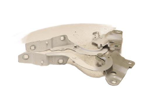 Hinge/Door check strap RENAULT ZOE (BFM_) ZOE (BFMC, BFMD) | BP26580513C146 