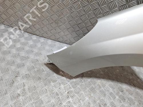 Left front fenders PEUGEOT 207 (WA_, WC_) 1.4 HDi | BP29402376C41 