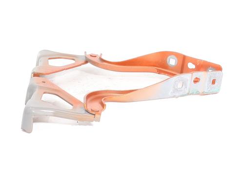 Hinge/Door check strap RENAULT CLIO V (B7_) 1.0 TCe 90 (B7MT) | BP29571015C146 