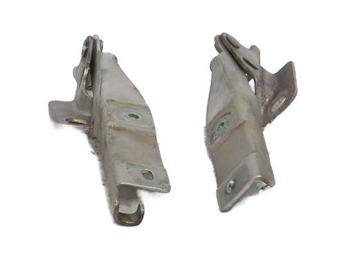 hingedoor-check-strap-citroen-c3-ii-sc_-2009-30157055 main image