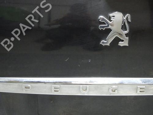 Tailgate PEUGEOT 807 (EB_) 2.0 HDI | BP24645420C6