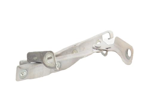 hingedoor-check-strap-citroen-c3-ii-sc_-2009-37250157 main image