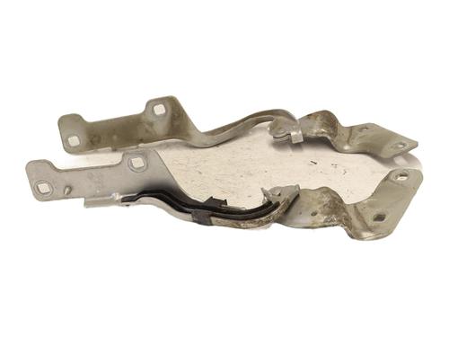 Hinge/Door check strap RENAULT CLIO III (BR0/1, CR0/1) 1.4 16V | BP27997287C146 