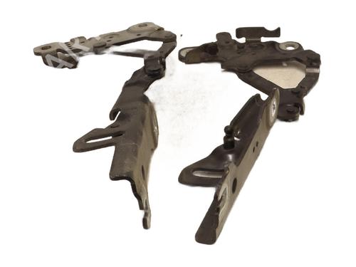 Hinge/Door check strap BMW 1 (F20) 120 d | BP26641857C146 