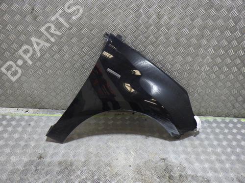 Used Right front fenders RENAULT SCÉNIC III (JZ0/1_) 1.9 dCi (JZ0J, JZ1J, JZ1K, JZ1S) (131 hp) 25435370