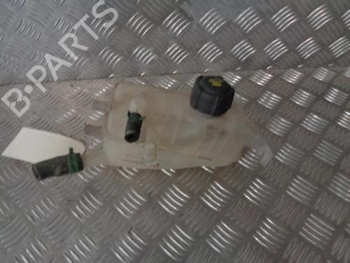 Used Expansion tank RENAULT MEGANE III Coupe (DZ0/1_) 1.9 dCi (DZ0N, DZ0J, DZ1J, DZ1K) (131 hp) 24258946