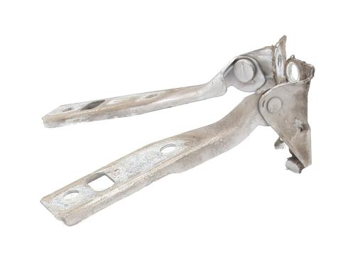 Hinge/Door check strap VW GOLF IV (1J1) 1.9 TDI | BP29202976C146 