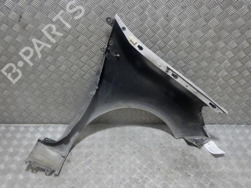 Left front fenders RENAULT CLIO III (BR0/1, CR0/1) 1.4 16V | BP27932832C41 