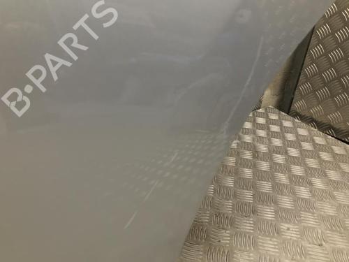 Left rear door CITROËN C3 II (SC_) 1.4 HDi 70 (SC8HZC, SC8HR0, SC8HP4) | BP24261493C4 