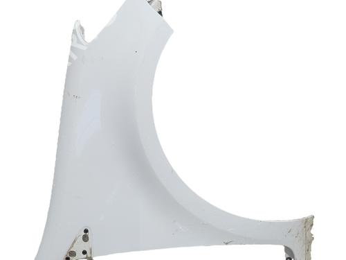 right-front-fenders-renault-clio-iii-br01-cr01-2005-2006-2007-2008-2009-2010-2011-2012-2013-2014-38062820 main image