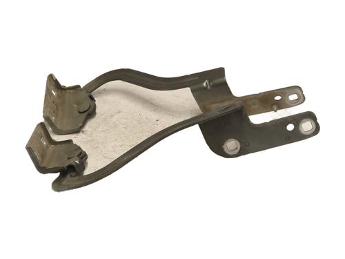 Hinge/Door check strap RENAULT MODUS / GRAND MODUS (F/JP0_) 1.5 dCi (FP0D, JP0D) | BP28292527C146 