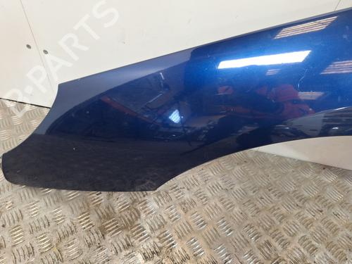 Left front fenders PEUGEOT 407 (6D_) 2.0 HDi 135 (6DRHRH, 6DRHRE, 6DRHRG, 6DRHRJ) | BP30109905C41