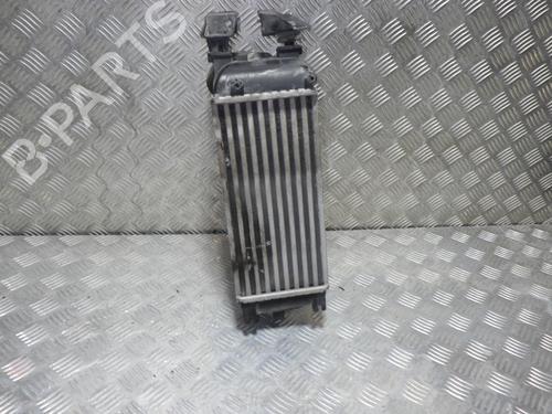 Intercooler FIAT 500 C (312_) 0.9 (312AG1A) | BP24255017M30 
