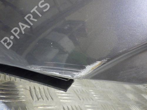 Left front fenders BMW X5 (E53) 3.0 d | BP24259987C41 