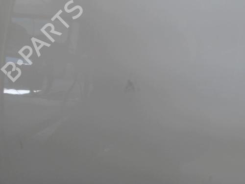 Left front door CITROËN C3 I (FC_, FN_) 1.4 HDi | BP24255913C2 